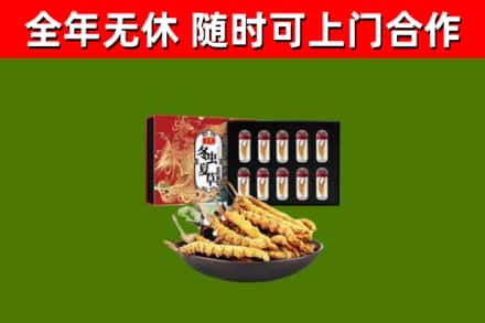 盐边县回收冬虫夏草价格